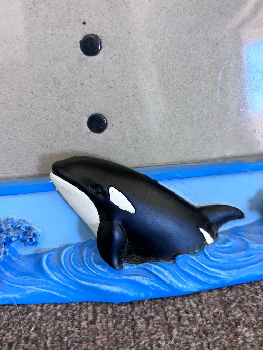 Seaworld frame